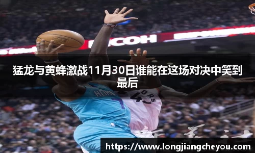 猛龙与黄蜂激战11月30日谁能在这场对决中笑到最后